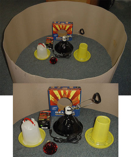 Chick Brooder Starter Kit **FREE SHIPPING in USA** Chick Brooder Starter Kit **FREE SHIPPING in USA**